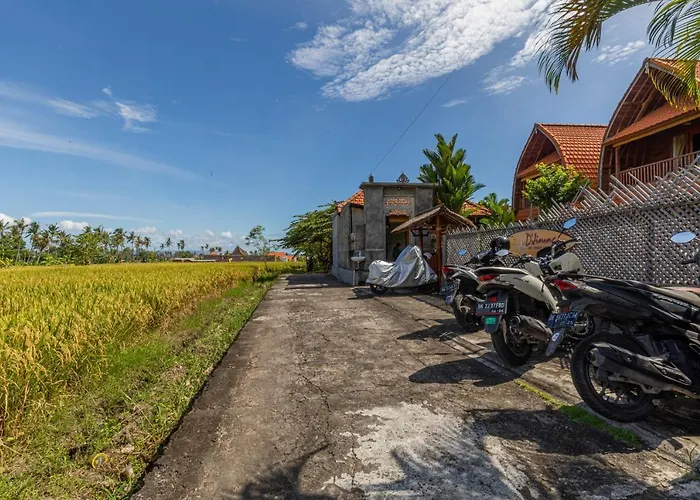 D'jineng Rice Terrace