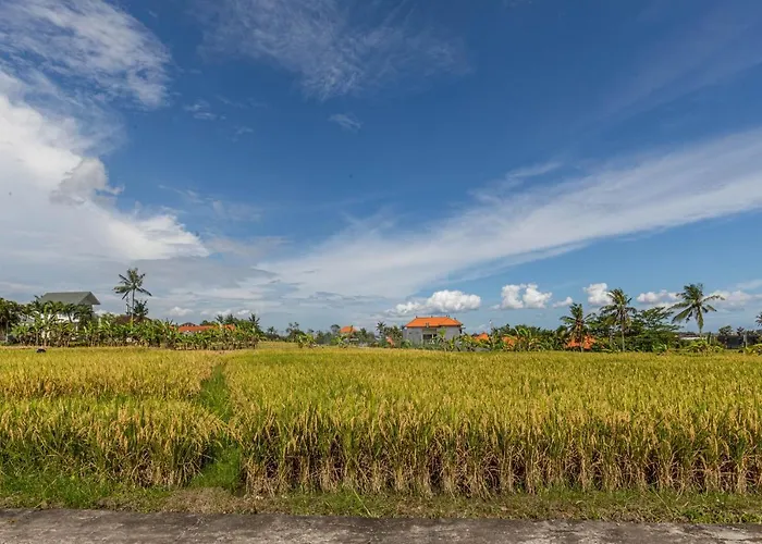 D'jineng Rice Terrace Hotel
