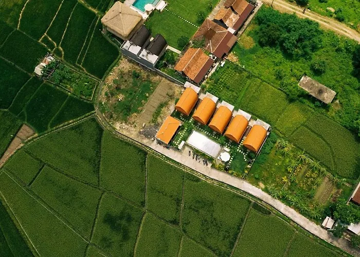 D'jineng Rice Terrace